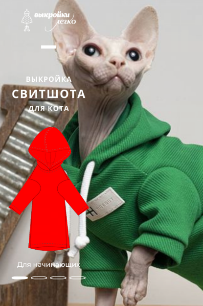 patterneasy Шитьё Свитшот для кота 2022 слив курса