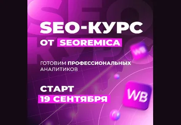 Павел Seoremica SEO для wildberries 3.0 2022 слив