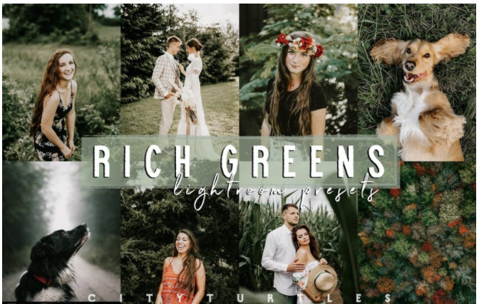 Elements.Envato Moody Rich Greens Outdoor Travel Lightroom Presets 2021 слив курса