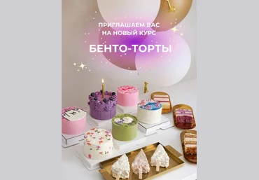 Алина Вельвет Alina Velvet Бенто-торты. Тариф Бизнес на бенто 2023 слив