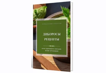 Международная Академия Нутрициологии Дикоросы. Рецепты 2024 слив
