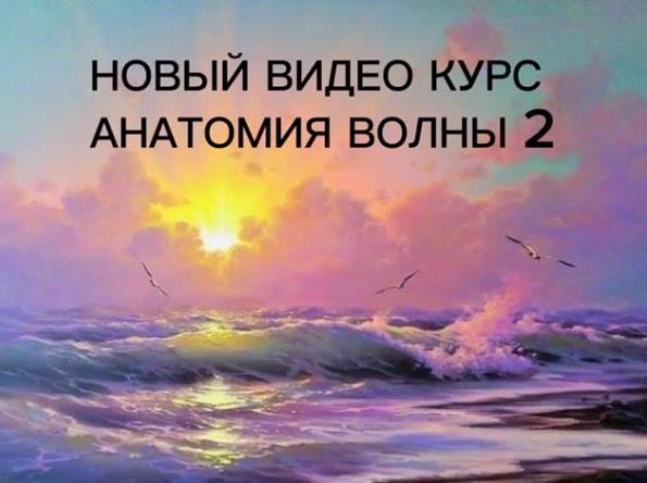 Виталий Антипин Анатомия волны 2 2023 слив курса