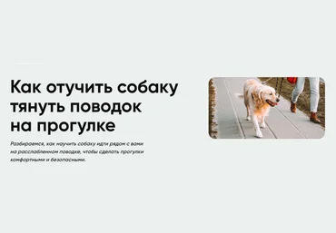 Московская Академия Сельского Хозяйства Методичка - Как отучить собаку тянуть поводок на прогулке слив