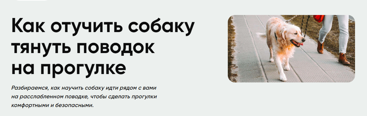 Московская Академия Сельского Хозяйства Методичка - Как отучить собаку тянуть поводок на прогулке слив курса