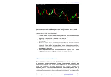 Полное руководство по получению прибыли на бинарных опционах слив