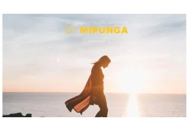 Graphicriver MIPUNGA Presets 2020 слив