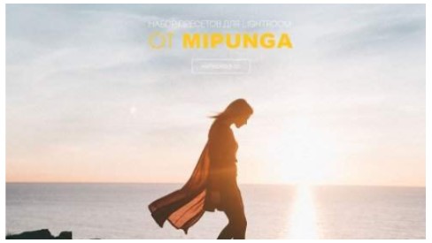 Graphicriver MIPUNGA Presets 2020 слив курса