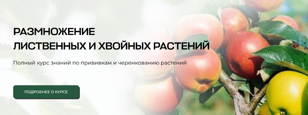 Владимир Задоркин Размножение лиственных и хвойных растений. Тариф Самостоятельный 2024 слив курса