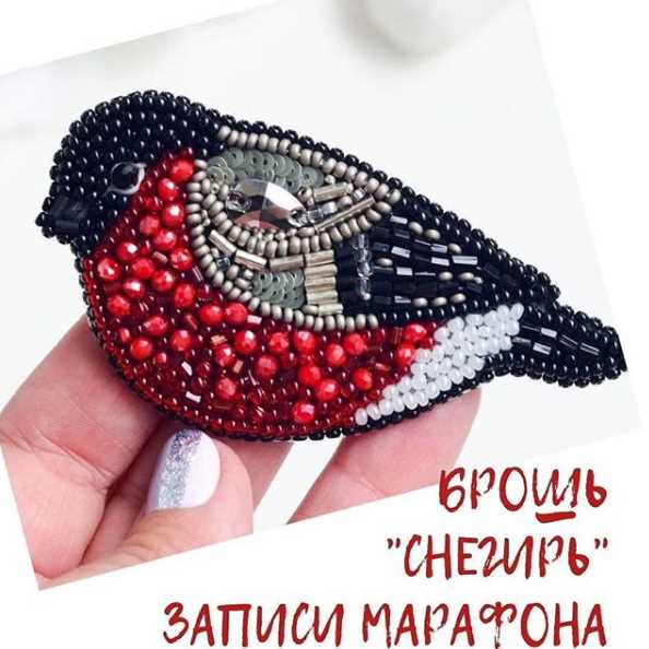 belozerova.mk Запись марафона Брошь «Снегирь» 2020 слив курса