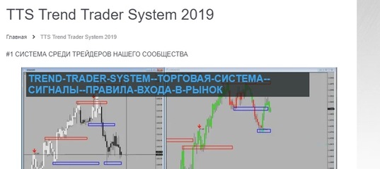 Аркадий Енокян Trend Trader System 2019 слив курса