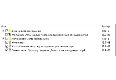 Легкие знакомства как привычка - Шамшурин Видеокурс слив
