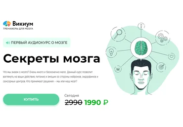Викиум Секреты мозга 2023 скачать слив
