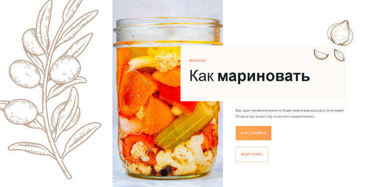Ольга Угрюмова Как мариновать 2024 слив курса