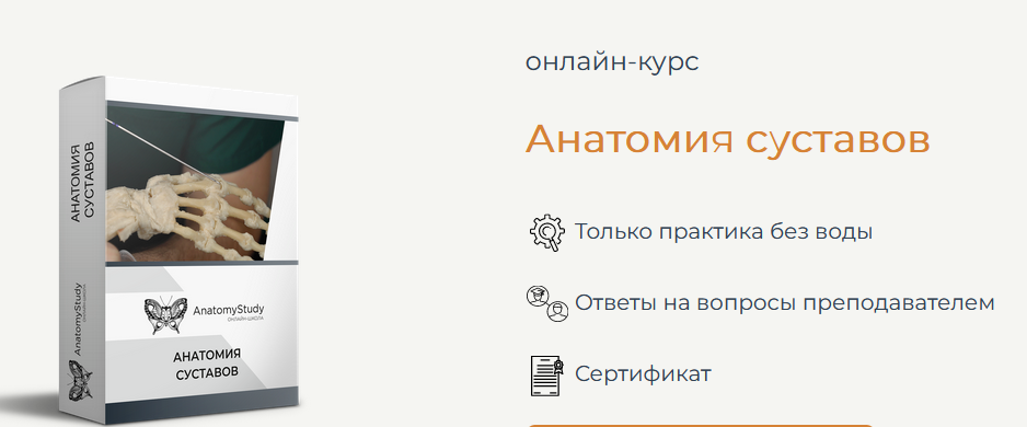 Сергей Скворцов Анатомия Анатомия суставов 2022 слив курса