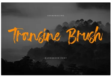 Creativemarket Transine Brush Font слив