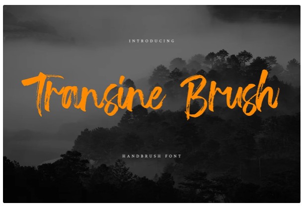 Creativemarket Transine Brush Font слив курса