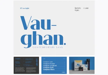 Elements.Envato Vaughan Font 2021 слив
