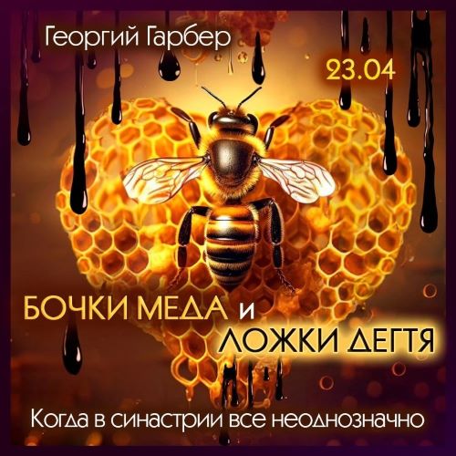 Георгий Гарбер Бочки меда и ложки дегтя. Когда в синастрии все неоднозначно 2024 слив курса