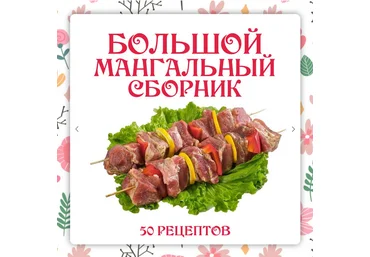 Ольга Данчук, Елена Воронцова Ленивый кулинар Большой мангальный сборник 2024 слив