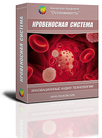 Кровеносная система программа для женщин - Ревенко 2016 слив курса
