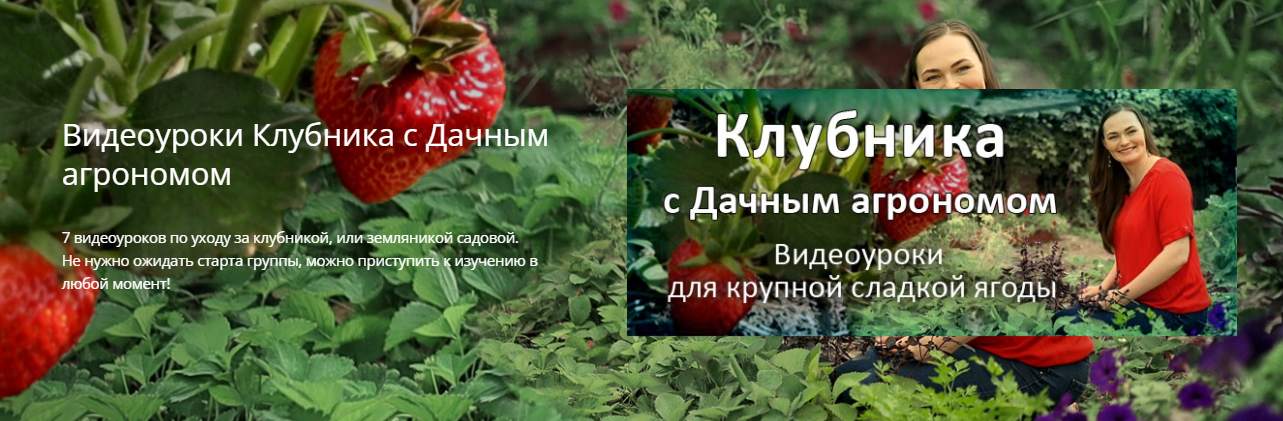 Дачный агроном Видеоуроки Клубника от А до Я 2022 слив курса