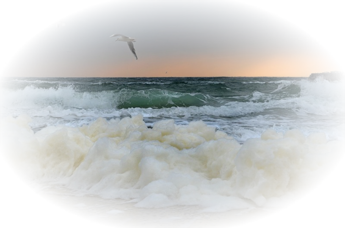 Ленни Россоловски Симфония моря слив курса