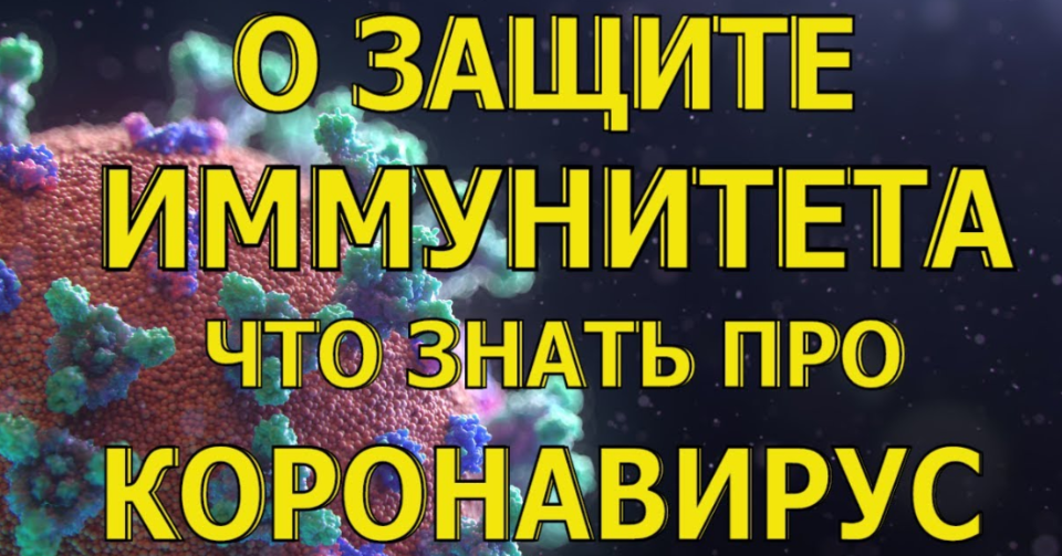 Елена Бахтина Здоровая иммунная система 2020 слив курса