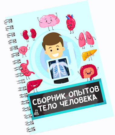 Нескучная лаборатория Сборник опытов «Тело человека» 2025 слив курса