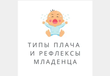 Полина Грин Типы плача и рефлексы младенца 2023 слив