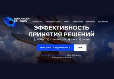Александр Палиенко Эффективность принятия решений 2024 слив