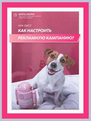 Софья Рожновская Инстркция «Как настроить рекламную кампанию» 2021 слив курса