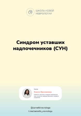 Ксения Овсянникова Методичка «Синдром уставших надпочечников СУН» 2023 слив курса