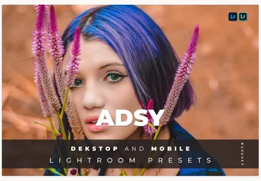 Elements.Envato Adsy Desktop and Mobile Lightroom Preset 2021 слив