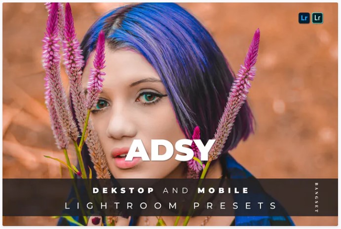 Elements.Envato Adsy Desktop and Mobile Lightroom Preset 2021 слив курса