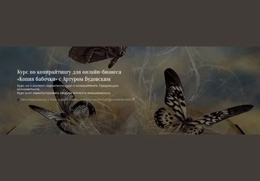 Артур Будовский На Арене Копирайтинг для онлайн-бизнеса «Копия бабочки» 2021 слив