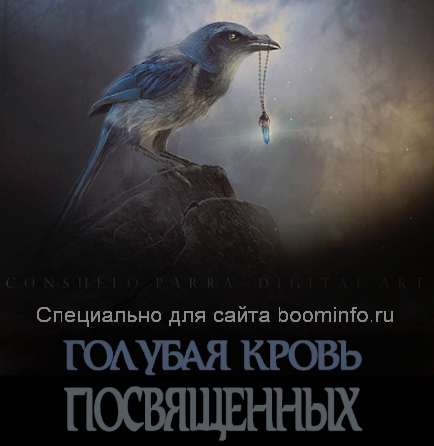 Александр Клинг Голубая кровь слив курса