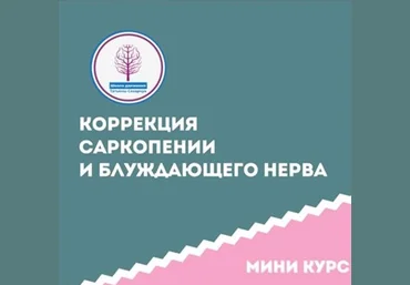 Татьяна Сахарчук Школа движения Коррекция саркопении и блуждающего нерва этап 1 2024 слив
