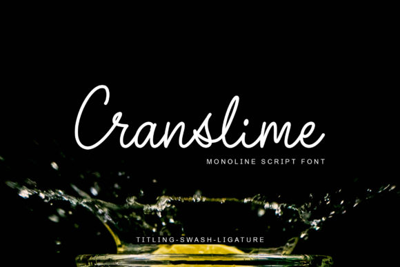 Creativefabrica Cranslime Font слив курса