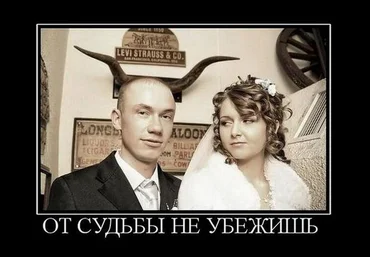 Комедия ошибок: особенности поведения рогоносцев и др. - Алексей Меняйлов слив
