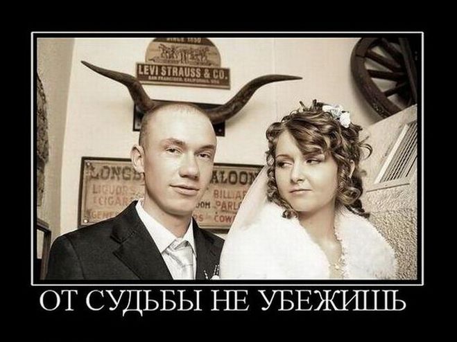 Комедия ошибок: особенности поведения рогоносцев и др. - Алексей Меняйлов слив курса