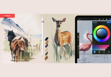 Дарья Климова markerschool Procreate, цифровая иллюстрация. Анималистика 2021 слив