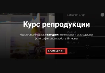 Александр Коробов Курс репродукции 2020 слив