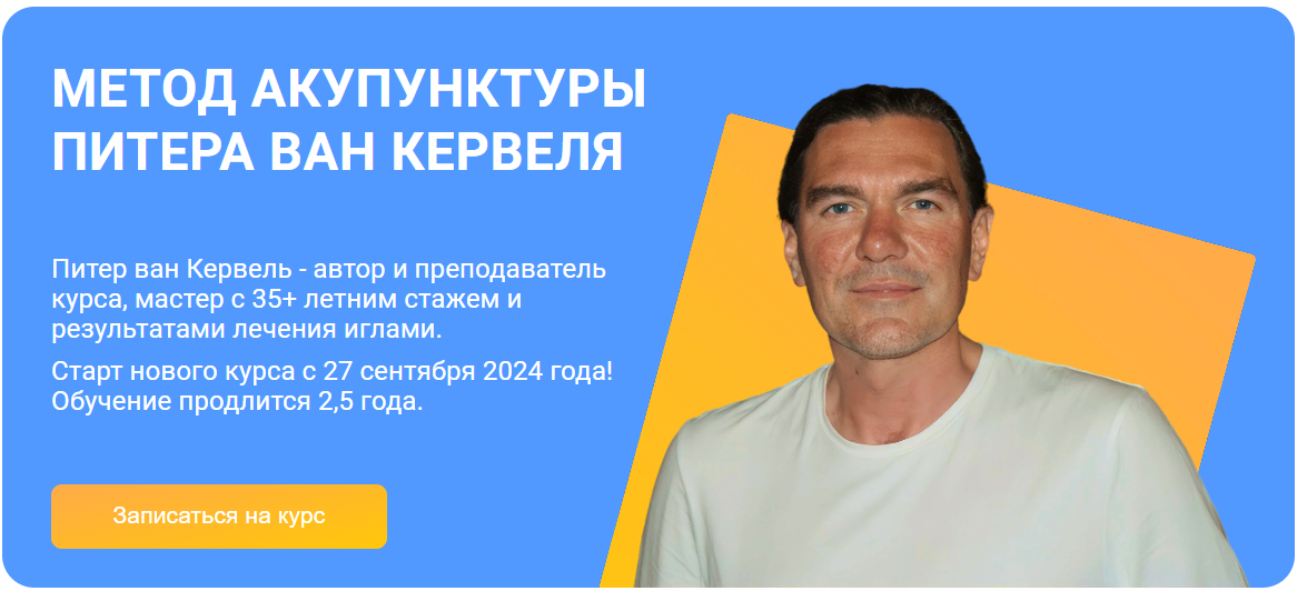 Краниосакральная академия Питер ван Кервель — Акупунктура по Нэй Цзин. Семинар 9 2024 слив курса