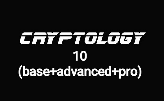 Cryptology School Cryptology 10. Base+Advanced+Pro 2024 слив курса
