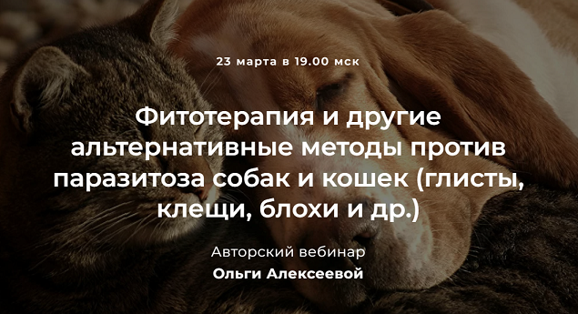 Ольга Алексеева Фитотерапия и другие альтернативные методы против паразитоза собак и кошек 2022 слив курса