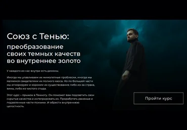 Александр Некрасов Союз с тенью: преобразование своих темных качеств во внутреннее золото 2024 слив