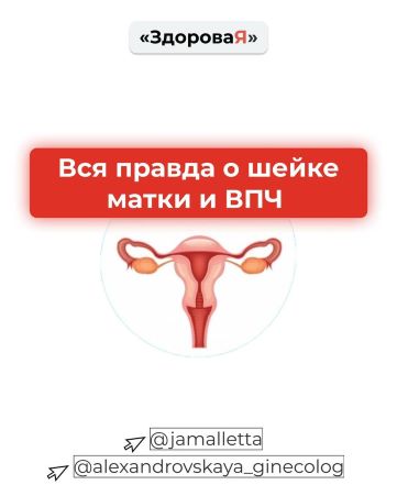 jamalletta Пособие «Вся правда о шейке матки и ВПЧ» 2020 слив курса