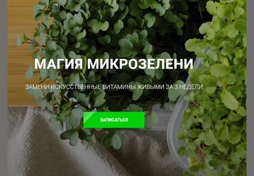 Ольга Халина Магия микрозелени 2023 слив