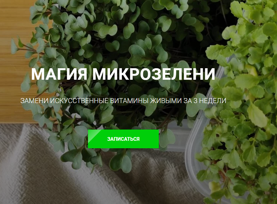 Ольга Халина Магия микрозелени 2023 слив курса