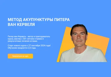 Краниосакральная академия Питер ван Кервель ― Акупунктура по Нэй Цзин - Семинар 7 2024 слив